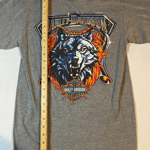 Harley Davidson Southern Devil Tee Shirt Men Small Gray Graphic Motorcycle Biker - Picture 4 of 6